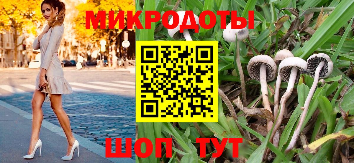 цена наркотик  Галлюциногенные грибы Cubensis  Галлюциногенные грибы Psilocybine cubensis  Вход с VPN  Балашов 
